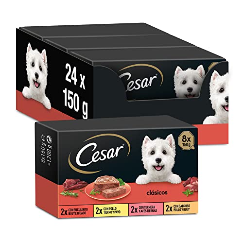 Nassfutter für Hunde, Auswahl der Klassiker in Pastete, Multipack (3 x 8 Becher x 150 g)