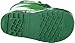 Western Chief Boys Waterproof Printed Rain Boot with Easy Pull on Handles - Fritz the Frog, 13 M US Little Kid