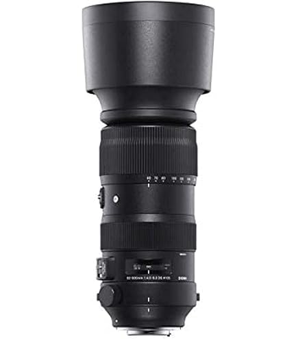 Amazon.com : Sigma 60-600mm F4.5-6.3 DG OS HSM Camera Lenses