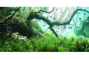 GOTLOS Natural Background Aquarium Background, 3D Image of Underwater Fish Tank Decoration, Greenery 48X24IN with 10 EVA Double-Sided Tape