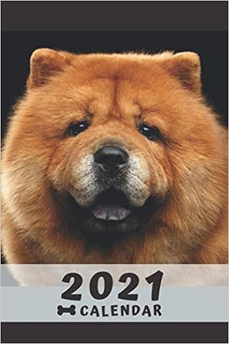 chow chow amazon