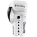 Hayabusa Leather Glory 10 oz Plus Lace Gloves, White
