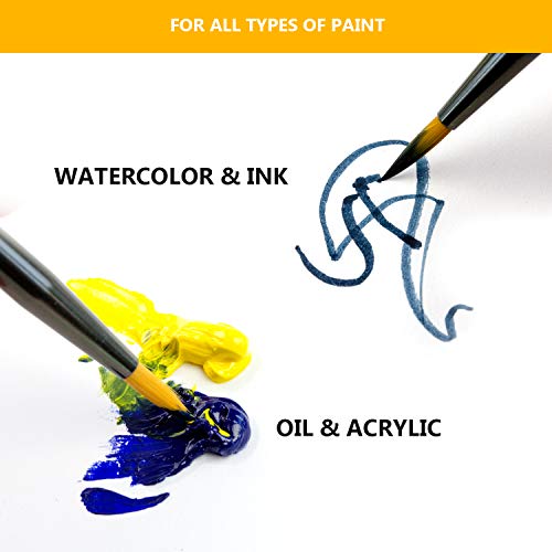 Miniature Paint Brush Set 6pcs + 1 Free - Best Find Detail Paint Brushes Model Paint Brush Set - Small Tiny Oil Watercolor Acrylic Brushes Hobby Art Supplies