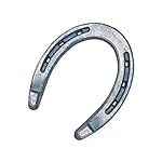Diamond Farrier 000PLAINB Horseshoe, 000 Bronco Plain, 20 Pairs