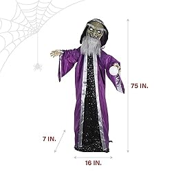 Haunted Hill Farm Animatronic Talking Wizard with