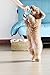 Durable Dog Squeaker Toys for Aggressive Chewers Boredom Small Dogs (Blue Hippo)