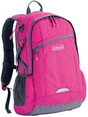 pink and white north face backpack