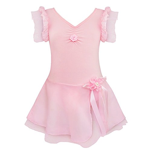 Alvivi Girls' Fairy Ruffle Short Sleeve Gymnastic Dance Leotards with Tutu Skirt Costume Dresses Pink 10-12