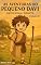 Livro As Aventuras do Pequeno Davi: Devocional: Volume 01