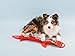 Outward Hound Fire Biterz Dragon Plush Firehose Material Interactive Dog Toy, Large