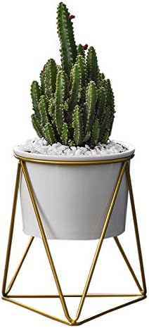 Golden/ Black Geometric Desktop Simple Iron Art Triangular Rack Stand with White/ Black Ceramic Flower Pot Succulent Planter Container Vase for Scindapsus Aureus Flower (white pot + golden frame)
