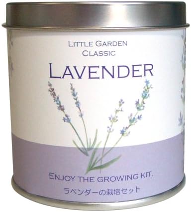Amazon 栽培セットラベンダー ハーブ