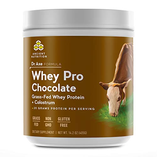 Axe Nutrition's Grass-Fed Whey Protein, Chocolate Flavor — 20g of Protein Per Serving — Non-GMO, No Gluten, Growth Hormones, Antibiotics, Pesticides, or Fillers