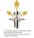JDM ASTAR Extremely Bright H11 LED Fog Light Bulbs w/ Reflector Mirror for DRL or Fog Lights, Xenon White