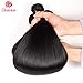 Beauhair Straight Hair Bundles with Closure Brazilian Straight Virgin Hair 3 Bundles with Lace Closure Free Part Human Hair Extensions Natural Black Color (16/18/20+16 Inch, Bundles with Closure)