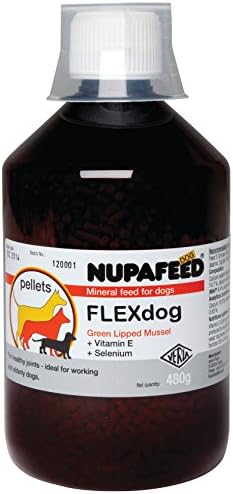FLEXdog