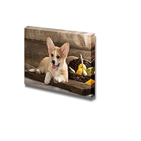 Canvas Prints Wall Art - Welsh Corgi Dog Breed - 12" x 18"