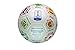 FIFA Women's World Cup France 2019 Official Licensed Soccer Ball 02-5