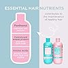 Hair-Growth-Shampoo-Conditioner-Set-For-Women-Best-Vegan-Shampoo-for-Anti-Hair-Loss-Thinning-Hair-Healthy-Hair-Growth-Boost-Grow-Gorgeous-Longer-Hair-Hair-Thickening-Products-by-Hairburst Hair Burst Hair Growth Shampoo & Conditioner Set For Women - Best Vegan Shampoo for Anti Hair Loss & Thinning Hair…