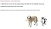 Ideal Pet Products Original Pet Door with Telescoping Frame, Super Large, 15