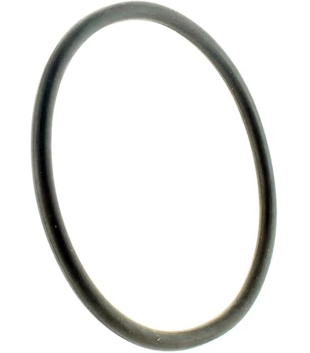 Amazon.com: Johnson Evinrude OMC New OEM Outboard Thermostat Cover