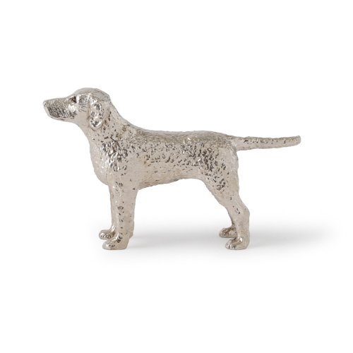 Curly Coated Retriever