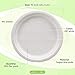 Mexago Eco-Friendly Round Compostable Plates - 10 inch | 100 Count - Natural Alternative to Paper Plate | Made of Sugarcane Bagasse