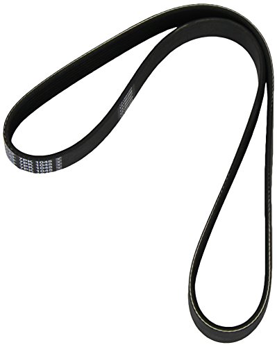 Cinghia Poly-V - DAYCO 6PK1026S