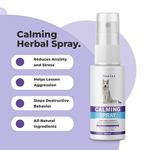 Adaptil Travel Calming Spray for Dogs Pets Trend Store