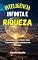 Livro Inteligência Infinita e Riqueza: Como Acessar o Poder Que Transforma Dificuldades em Sucesso