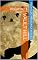 Livro Vault Hill: Volume 1