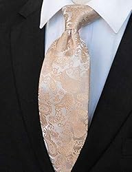 JEMYGINS Gold Paisley Tie Wedding Business Silk