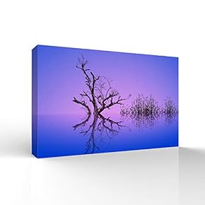 SIGNFORD Canvas Wall Art for Living Room,Bedroom Home...
