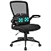 Giantex Ergonomic Desk Chair w/Portable Lumbar Pillow, Mesh Padded Seat and Flip up Armrests, Swivel Home Office Chair with Wheels, Adjustable Height Computer Desk Chair(Black)