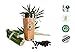 Morning Wood Premium Bamboo Travel Coffee Mug, Coffee Cup Thermos with QuickSeal Lid, Stainless Steel Insulated Tumbler 16oz.