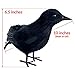 Halloween Crows Decor 2 Pack Halloween Crow Decorations Or Maleficent Costume Prop