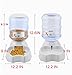 Feeder Dispenser, Dog Cat Food Combo,Automatic Gravity Drinking Fountain Bottle Bowl Dish Stand 0.8 Gal