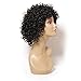 Nadula New Fashion Women's Full Short Curly Wavy Hair Wig Glamour Wig+ Nadula Wig Cap (Curly Black)