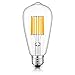 CRLight 10W LED Edison Bulb 2700K Warm White 1000LM, 100W Equivalent E26 Medium Base, ST64 Vintage LED Filament Bulbs, 360 Degrees Beam Angle, Non-dimmable