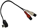 PAC AAI-ALPA Auxiliary Audio Input RCA Cable