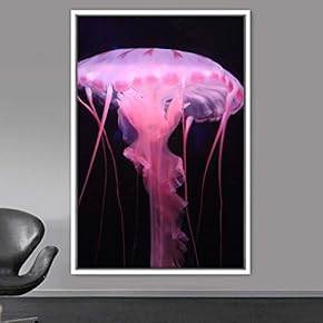 signwin Framed Canvas Wall Art Jellyfish Bedroom Colorful...