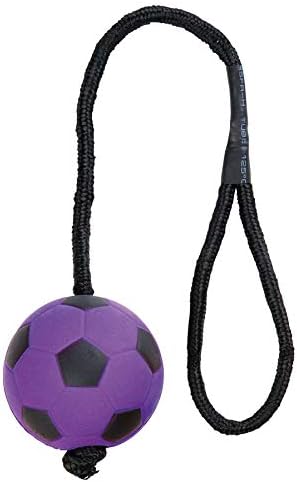 TRIXIE 3459 Neon Balls with Cord Soft Rubber 6 x 30 cm Pack of 24, bunt, 6 x 30 inch - Image 4