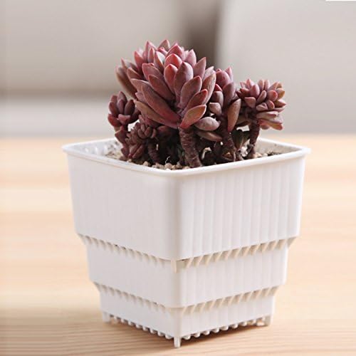 Succulent Planter Pots Indoor Cactus Planter Pots Black White with Saucer Tray(1 Pack, White)