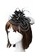 Anita Women's Fascinators Small Hairpin Feather hat (One Size, Black)