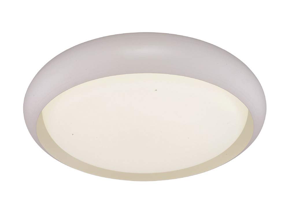 Fbright Led Ceiling Light, White
