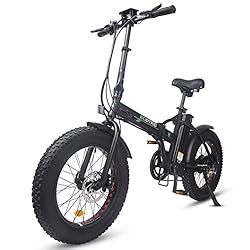 ECOTRIC Electric Foldable Bike Beach Snow Bicycle