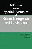 A Primer on the Spatial Dynamics of Crime Emergence and Persistence