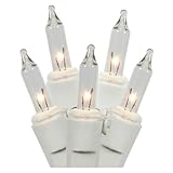 LiteSource 32310 - 20 Light White Wire Clear Miniature Christmas Light String Set with 3