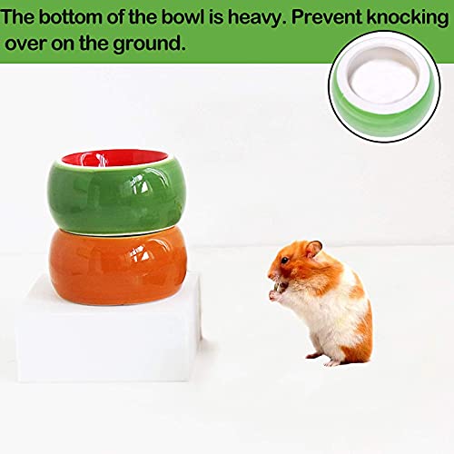 hamster water dish