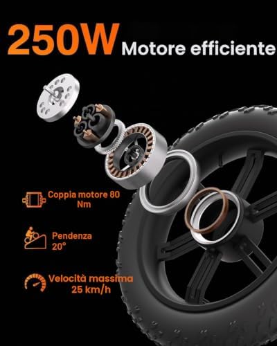 F20pro 4.0 Fat E Bike è una bicicletta elettrica da 250W con batteria da 48V freni idraulici funzione APP Città bici elettriche uomini e donne (F20PRO 20AH Nero)